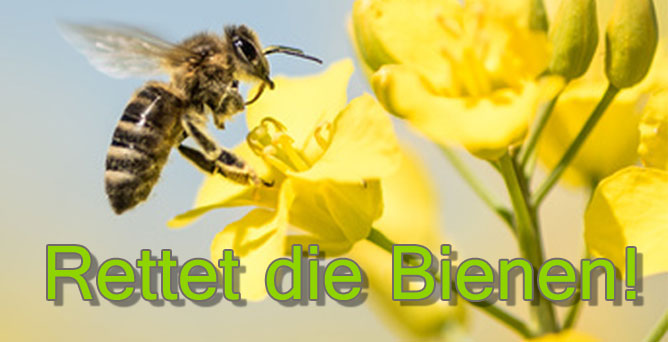 Rettet Die Bienen Ergebnis